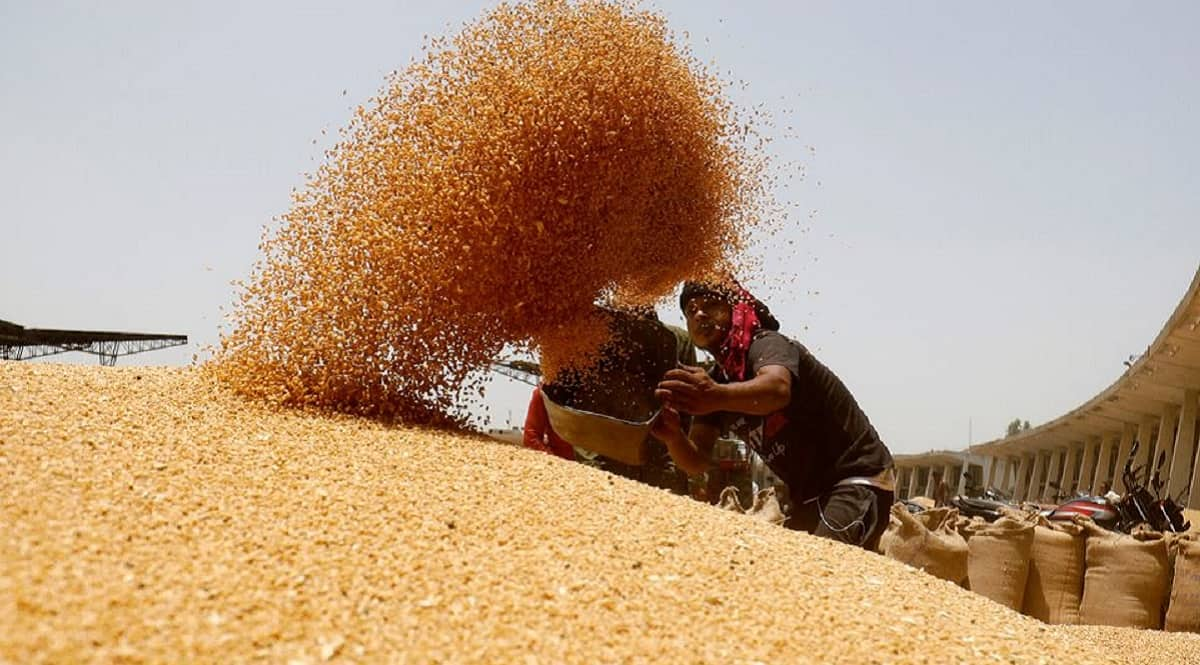 Wheat prices hit fresh record high following delay in stock release by government