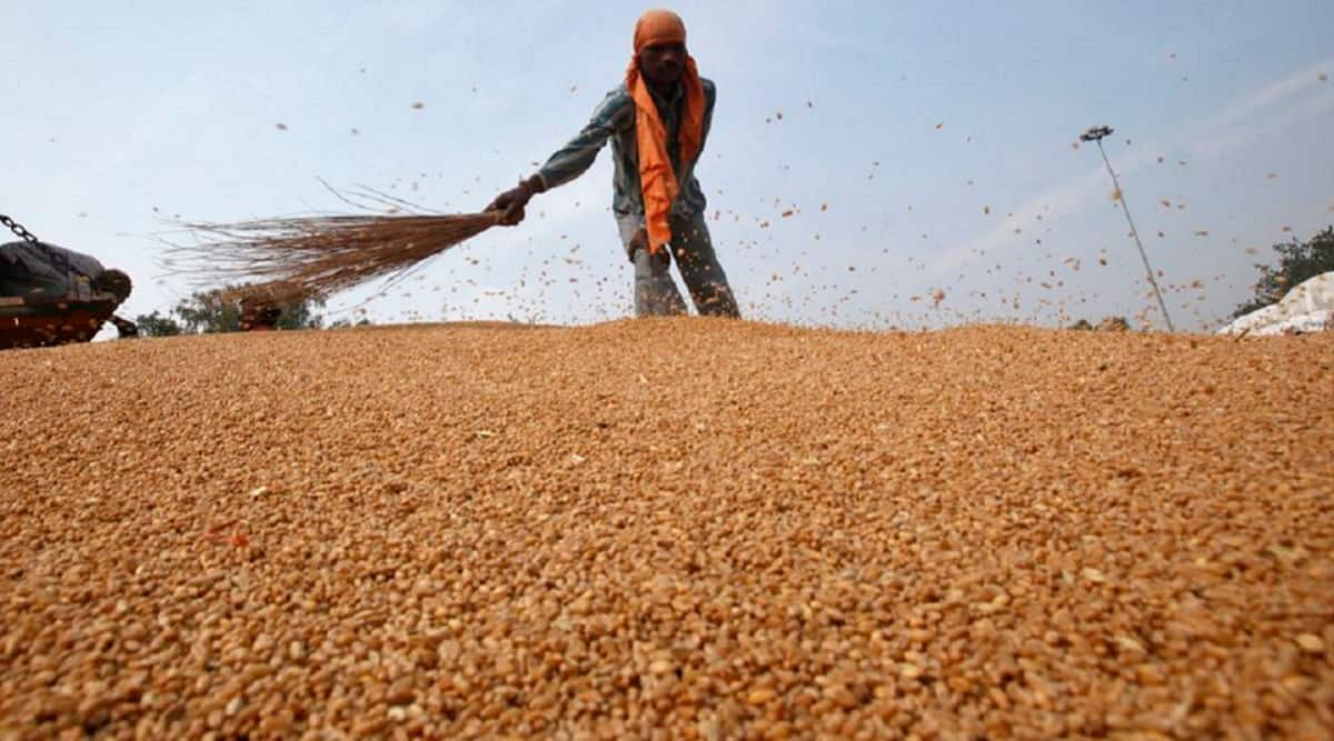 Wheat prices may come down by Rs 5-6/kg: Flour millers on govt move to sell wheat in open market